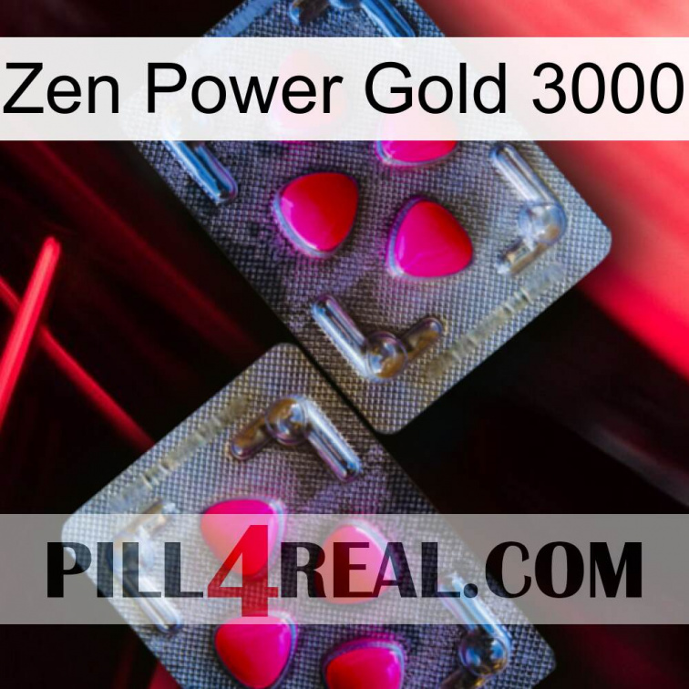 Zen Power Gold 3000 15